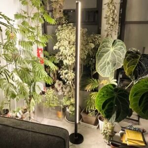 DS-CZWCFG Single Side Emitting LED Grow Light | 4000K Full Spectrum Floor Standing Plant Fill Light for Tall Indoor Foliage Plants